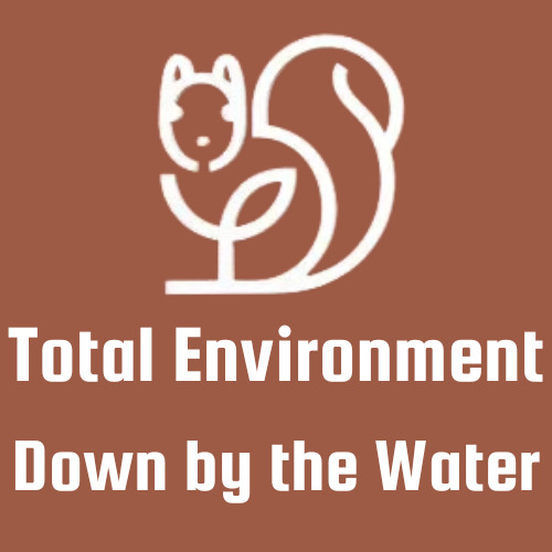 Total Environment Homes - Down by the water Logo
